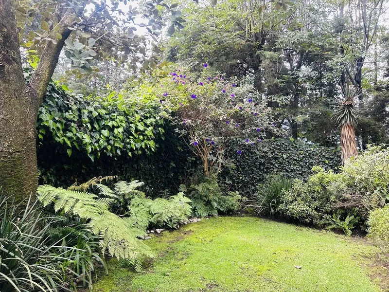 Foto 24