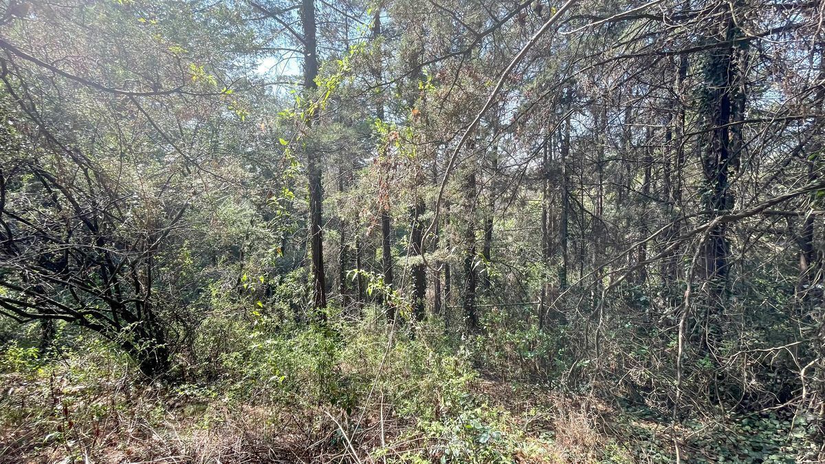 Lote en venta · San Mateo Tlaltenango, Cuajimalpa de Morelos, Ciudad de México