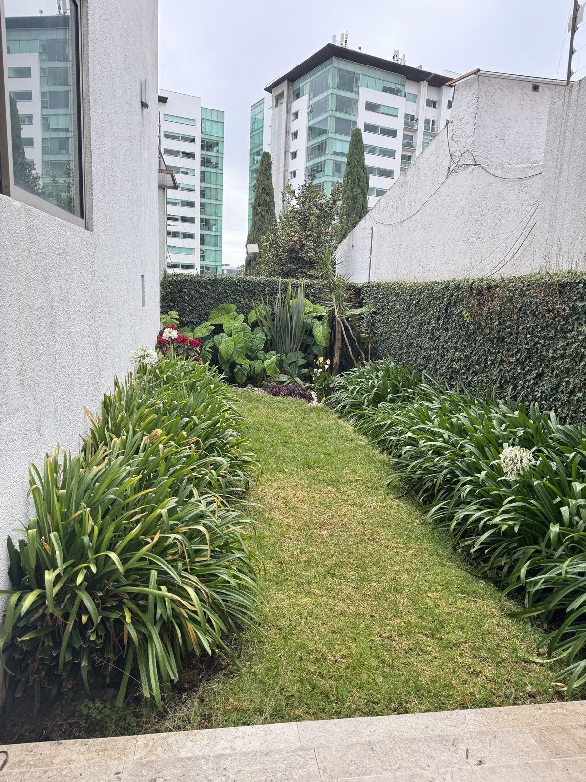 Foto 31