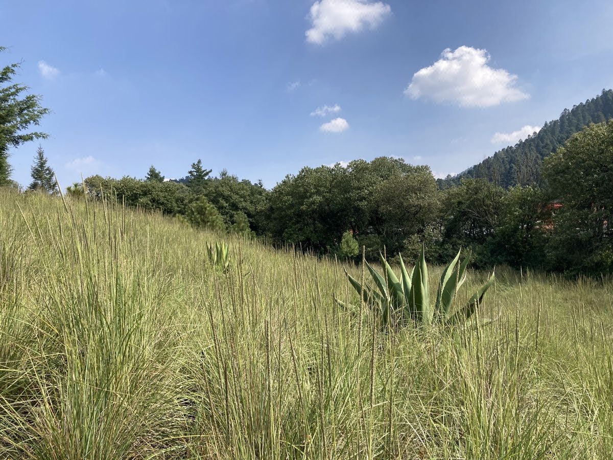 Lote en venta · Corredor Industrial Toluca Lerma, San Mateo Atenco, Estado de México