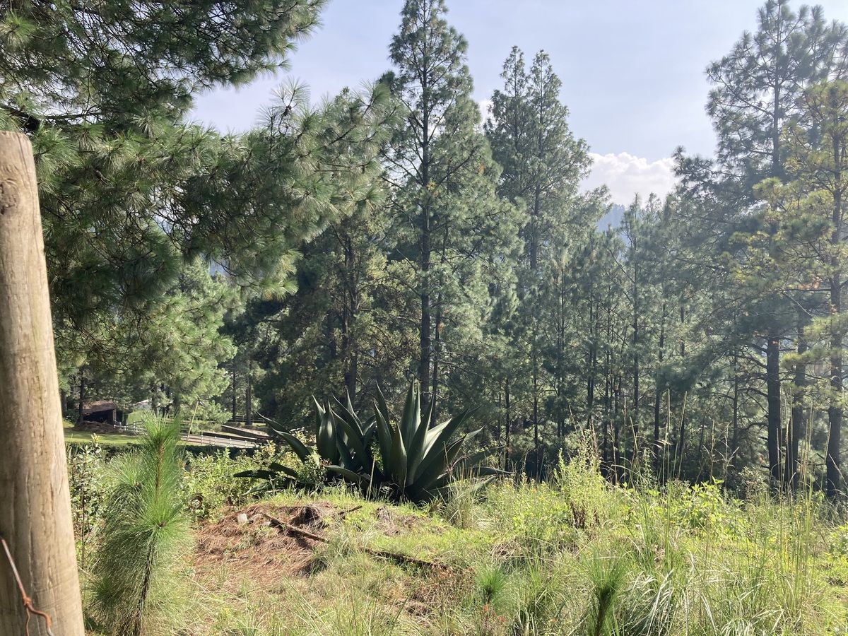 Lote en venta · Corredor Industrial Toluca Lerma, San Mateo Atenco, Estado de México