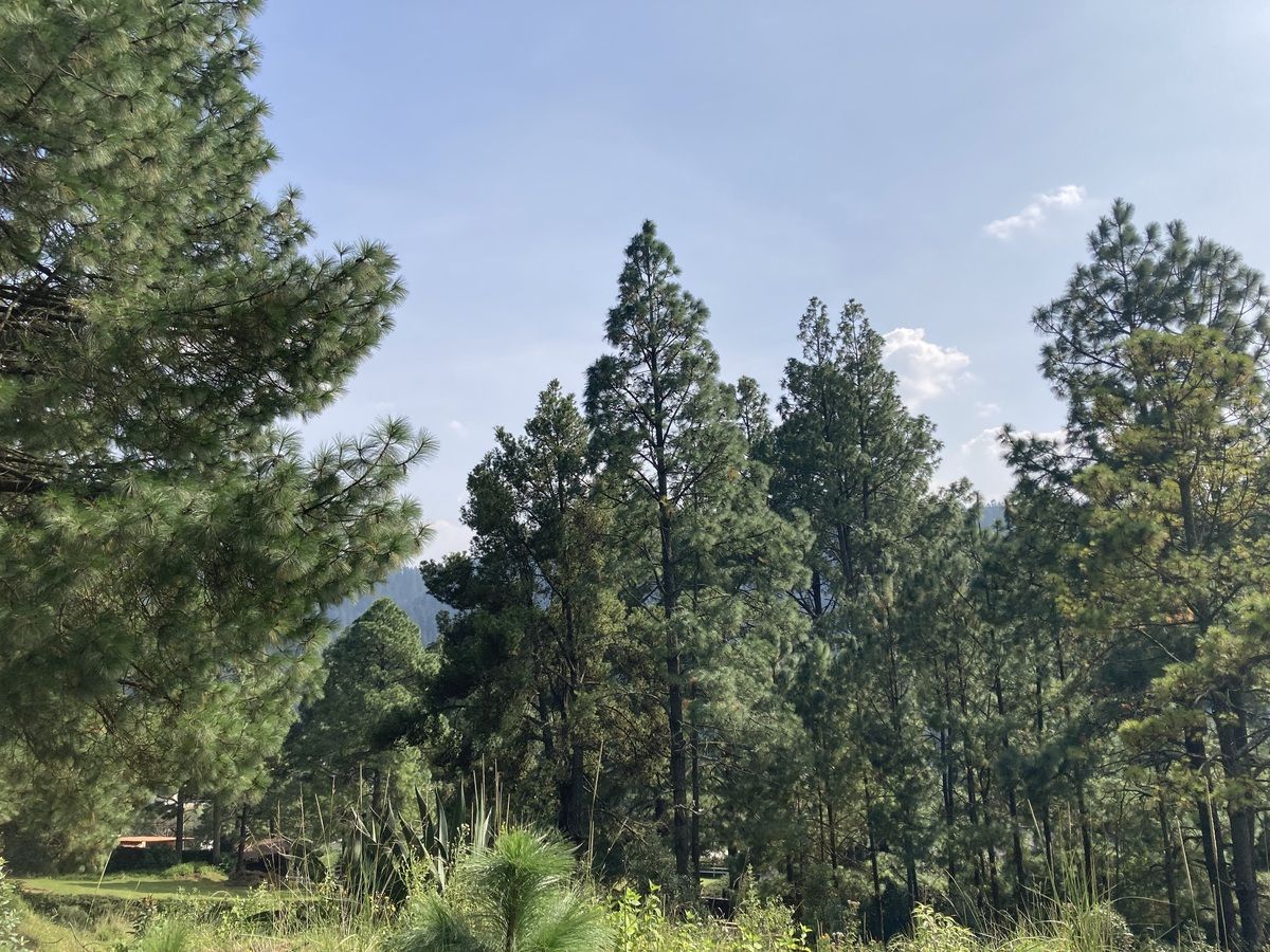 Lote en venta · Corredor Industrial Toluca Lerma, San Mateo Atenco, Estado de México