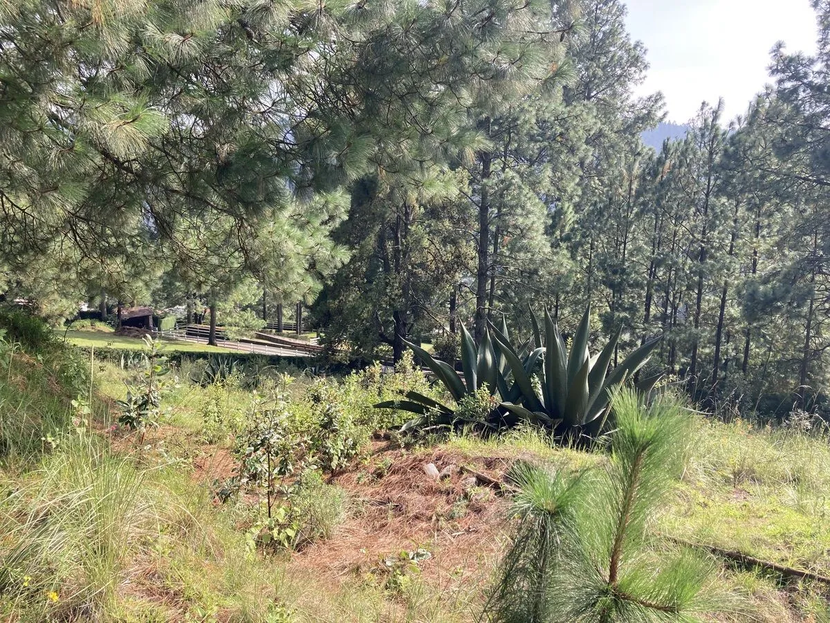 Lote en venta · Cañada de Alférez, Lerma, Estado de México