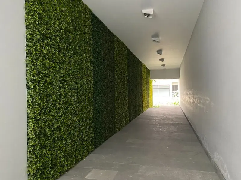 Foto 7
