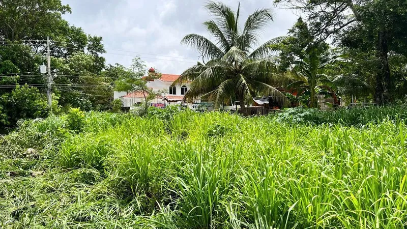Foto 2