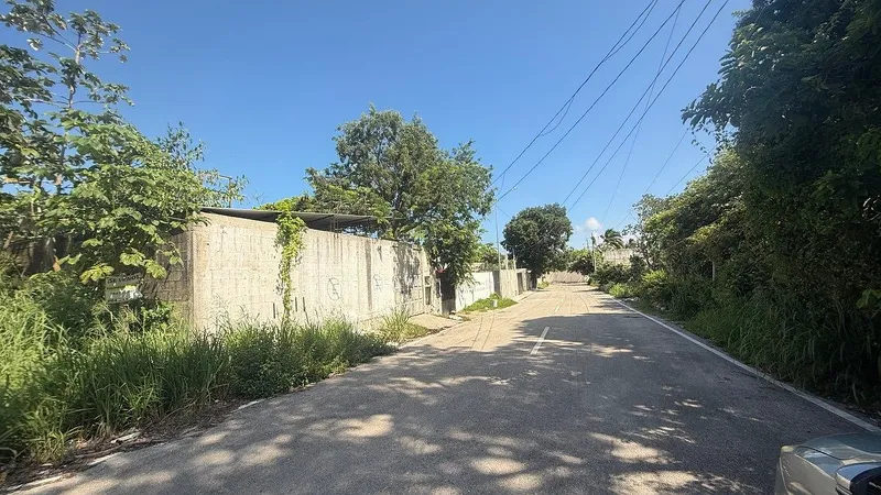 Foto 7