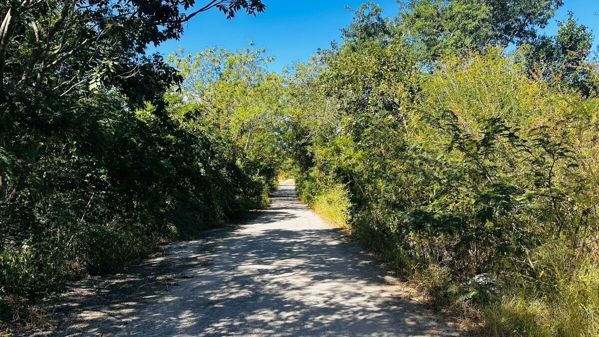 Lote en venta · Temozon Norte, Mérida, Yucatán
