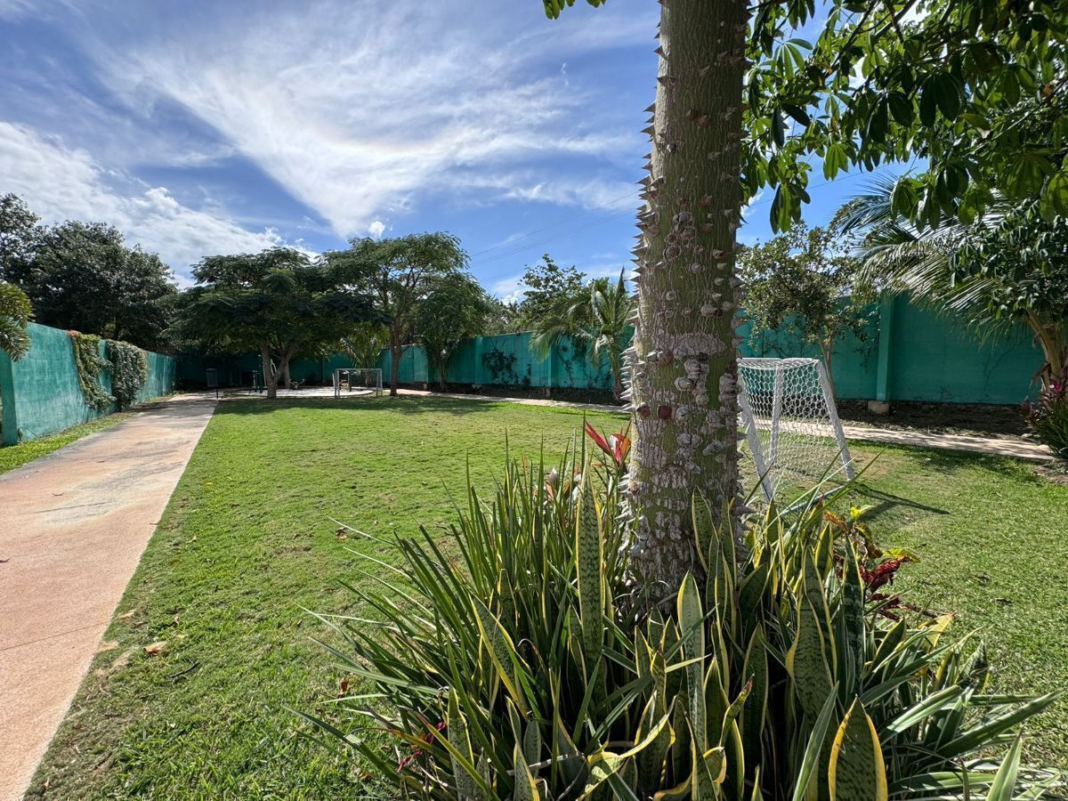 Foto 16