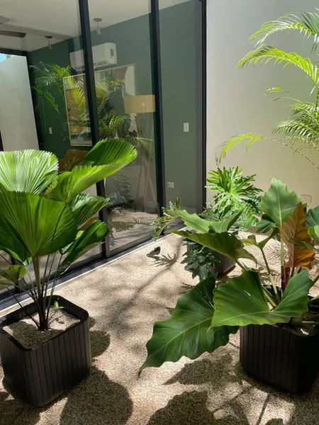 Foto 24