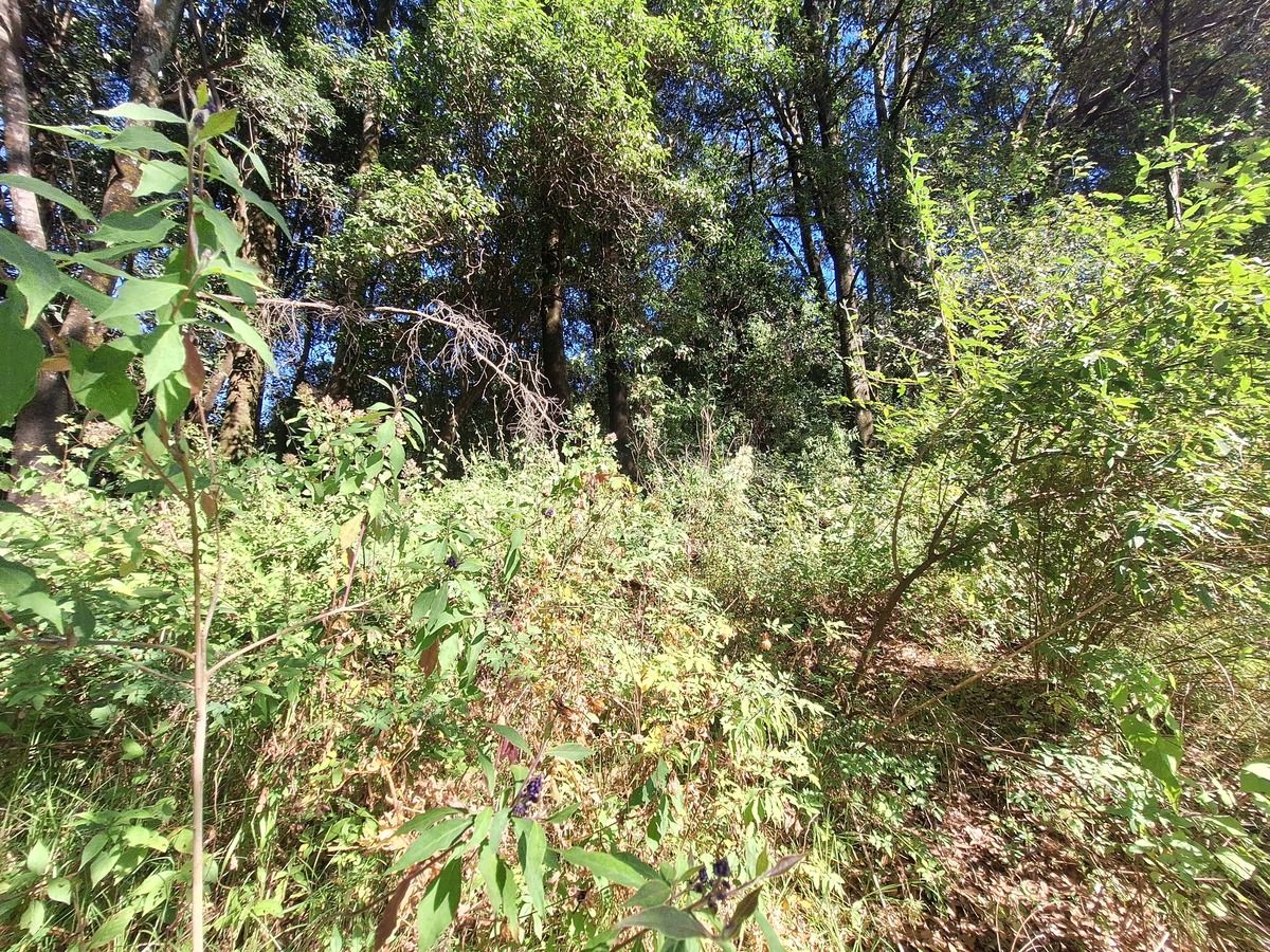 Lote en venta · Huixquilucan de Degollado Centro, Huixquilucan, Estado de México