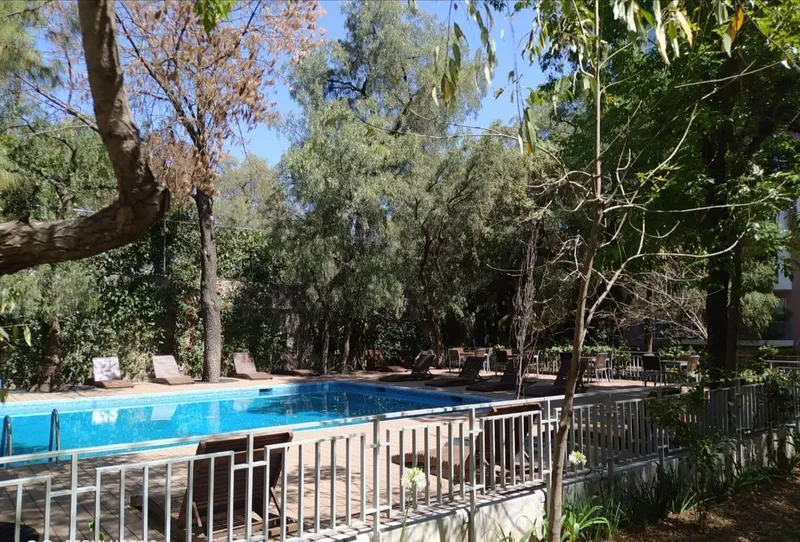Foto 10