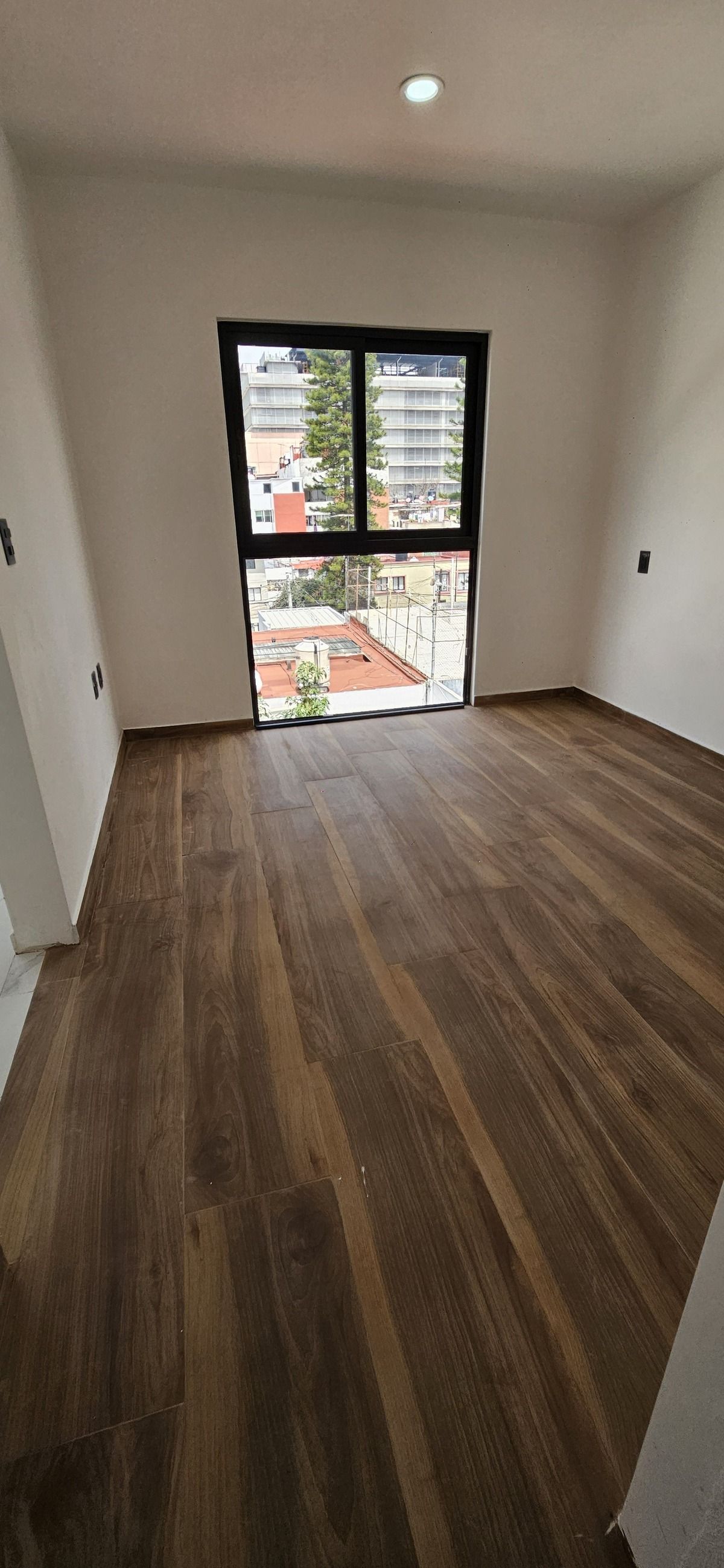 Foto 19