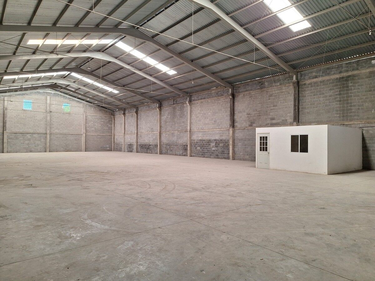 Foto 3