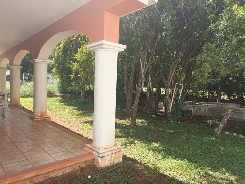Foto 15