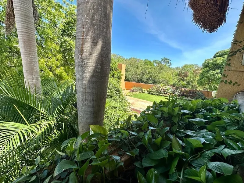 Foto 31