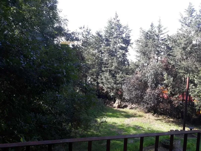 Foto 39