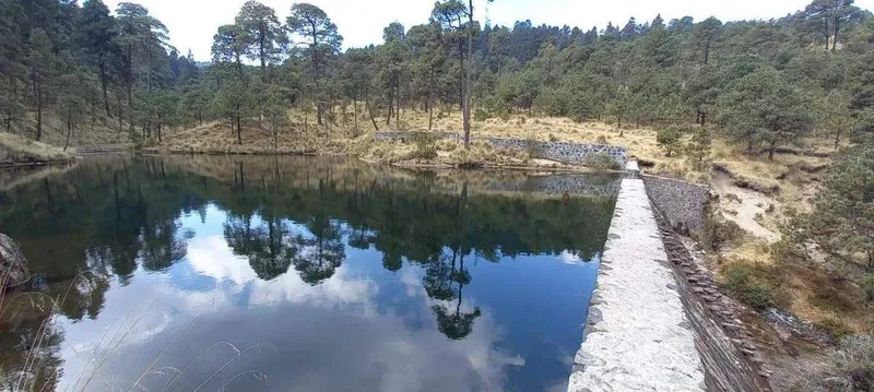 Foto 37