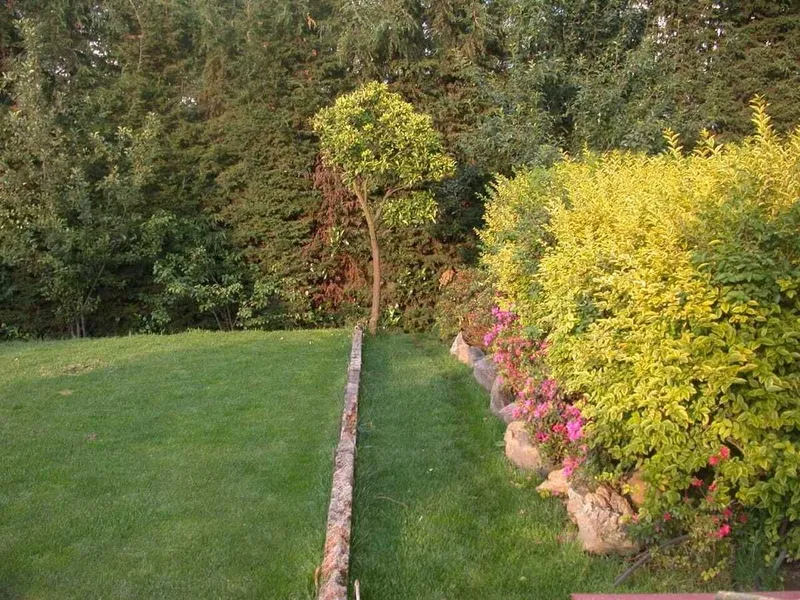 Foto 26