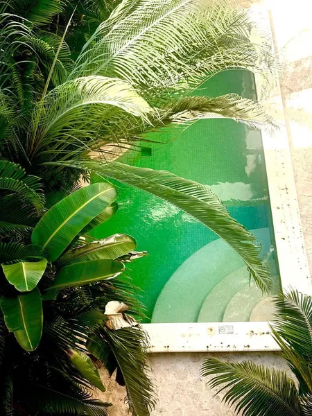 Foto 14