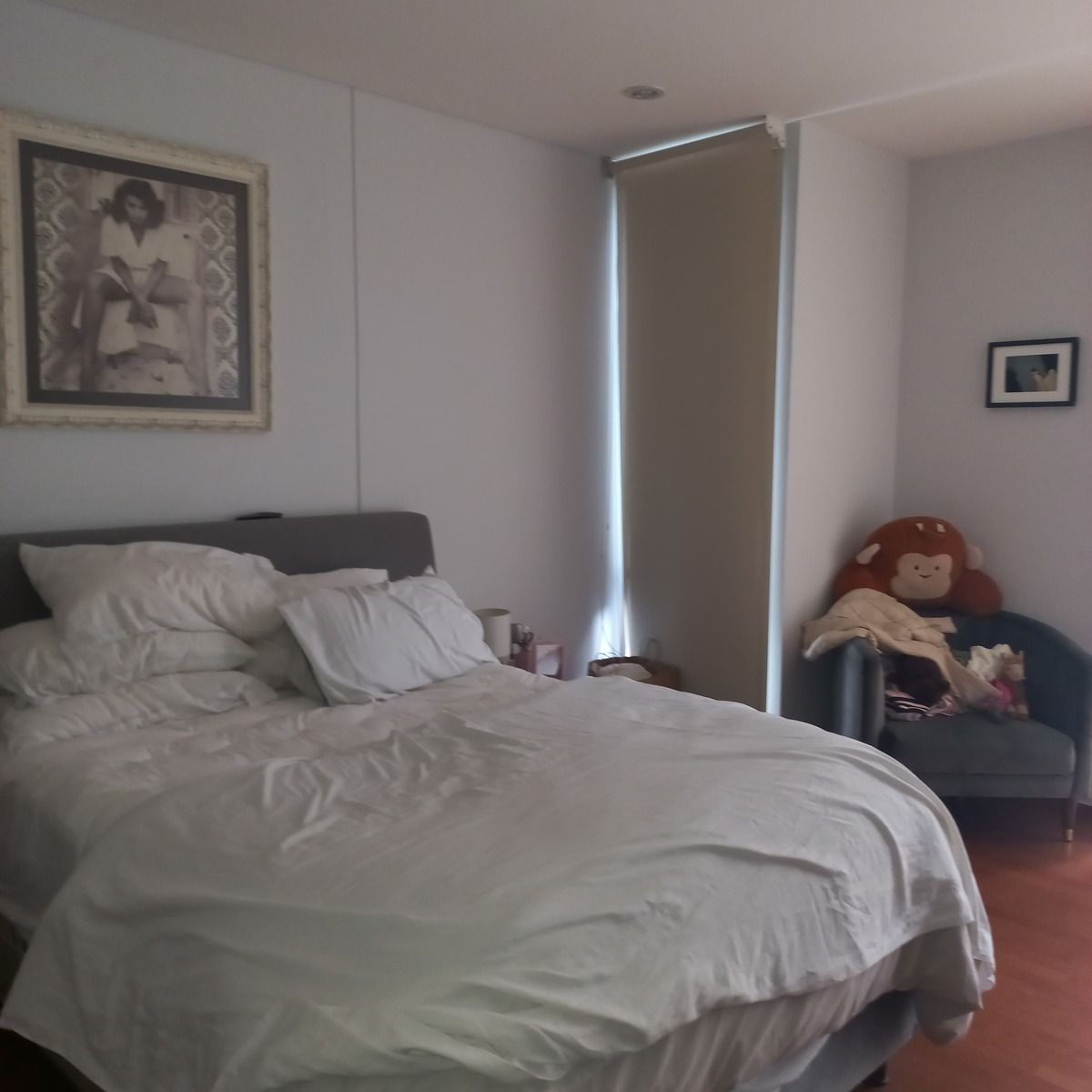 Foto 15