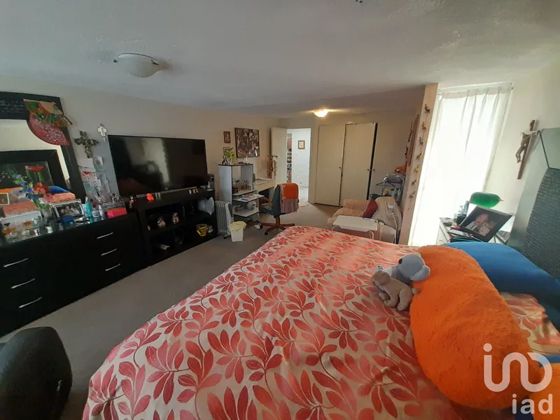 Foto 15