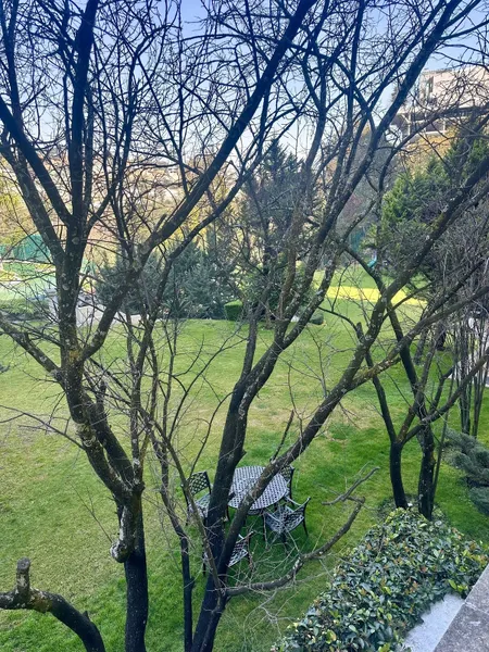 Foto 26