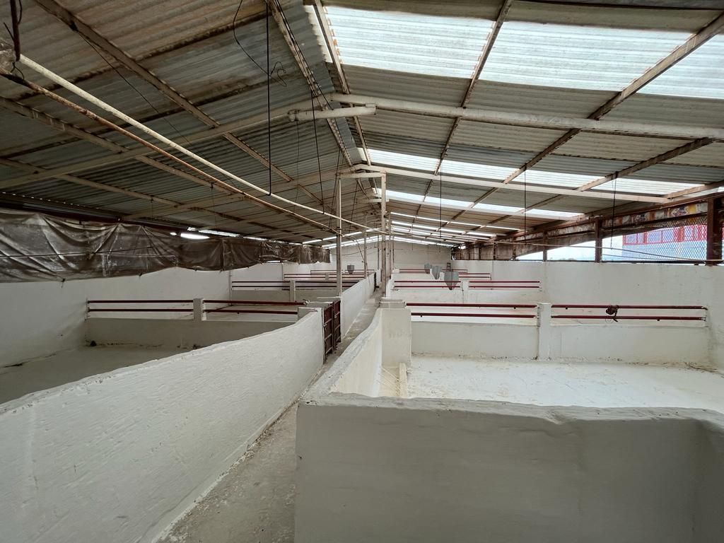 Foto 14