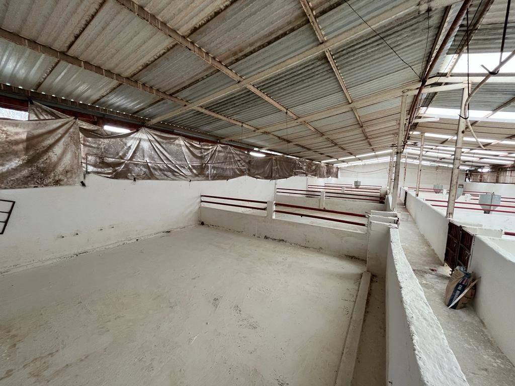 Foto 16