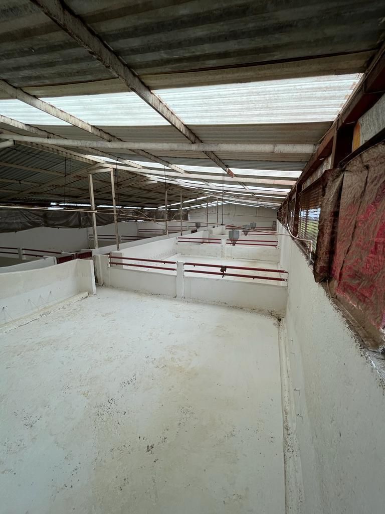 Foto 12
