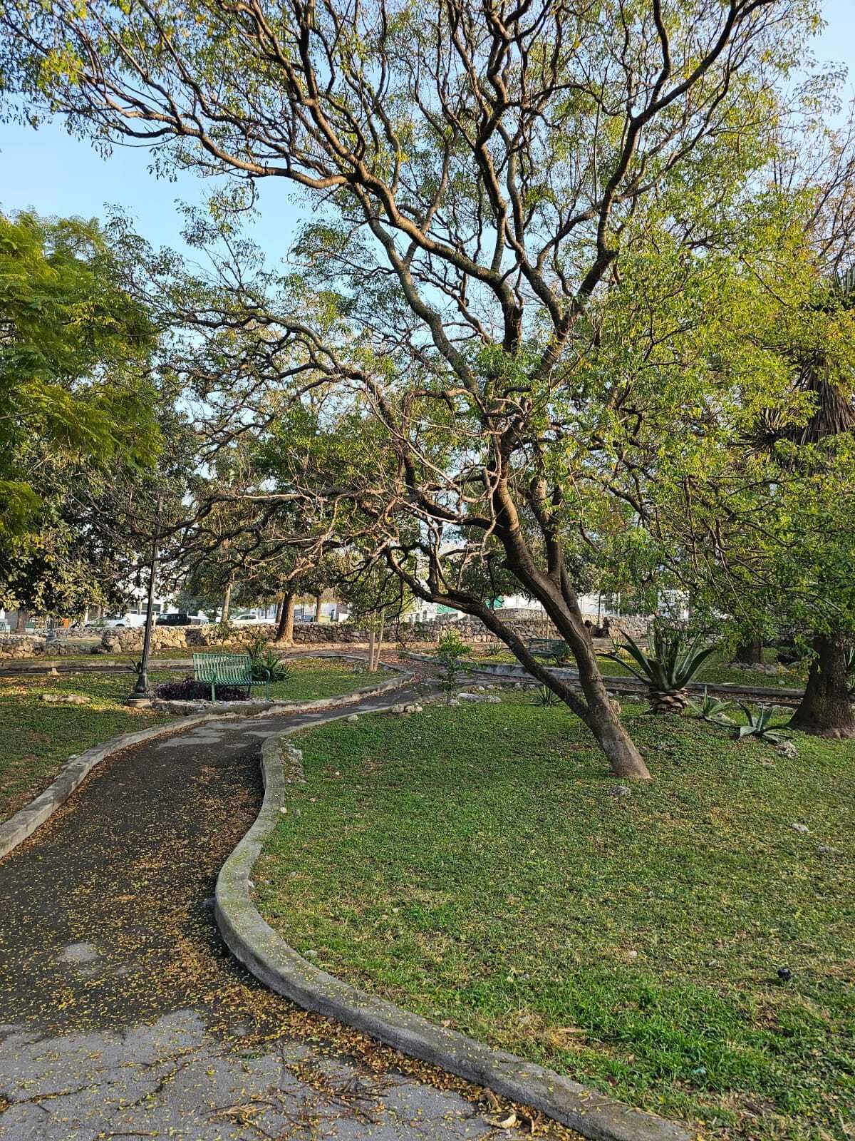 Foto 15