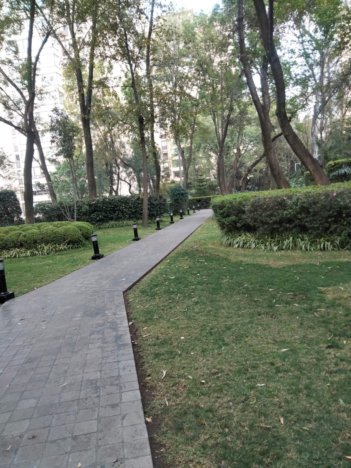 Departamento en venta · Lomas de Chapultepec I Sección, Lomas de Chapultepec, Chapultepec, Miguel Hidalgo, Ciudad de México