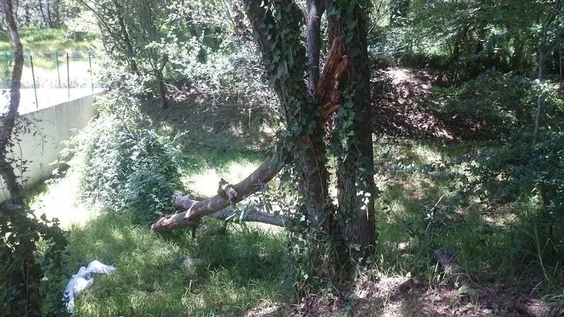 Foto 6