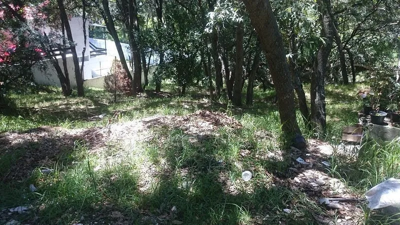Foto 3