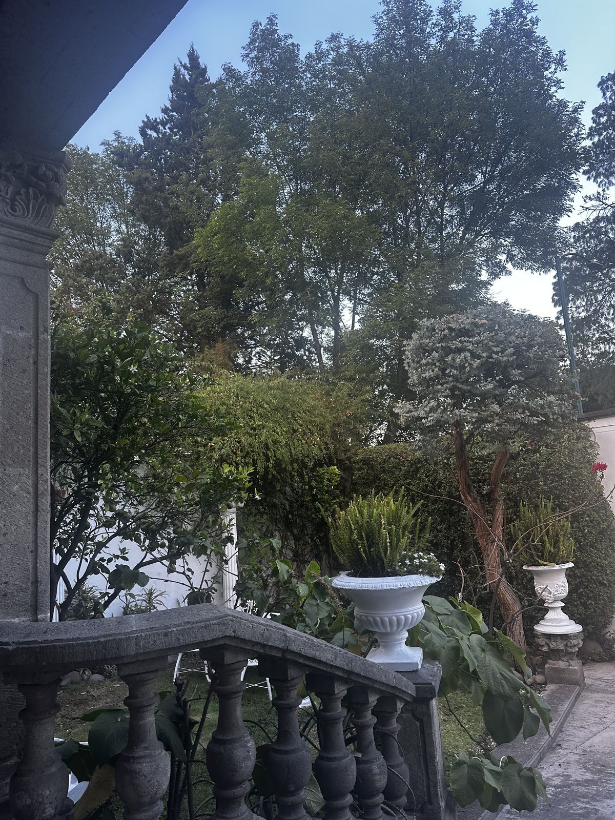 Casa en venta · Lomas de Reforma, Miguel Hidalgo, Ciudad de México Casa en venta · Lomas de Reforma, Miguel Hidalgo, Ciudad de México