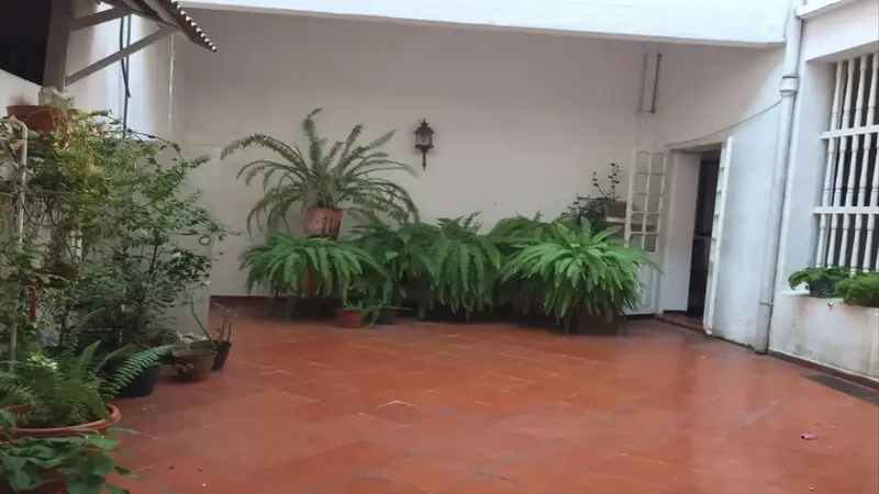 Foto 19