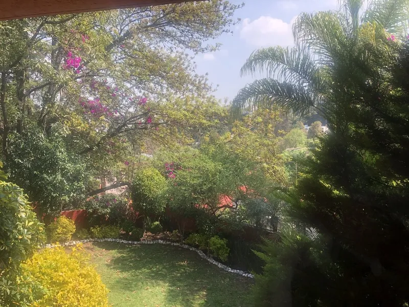 Foto 14