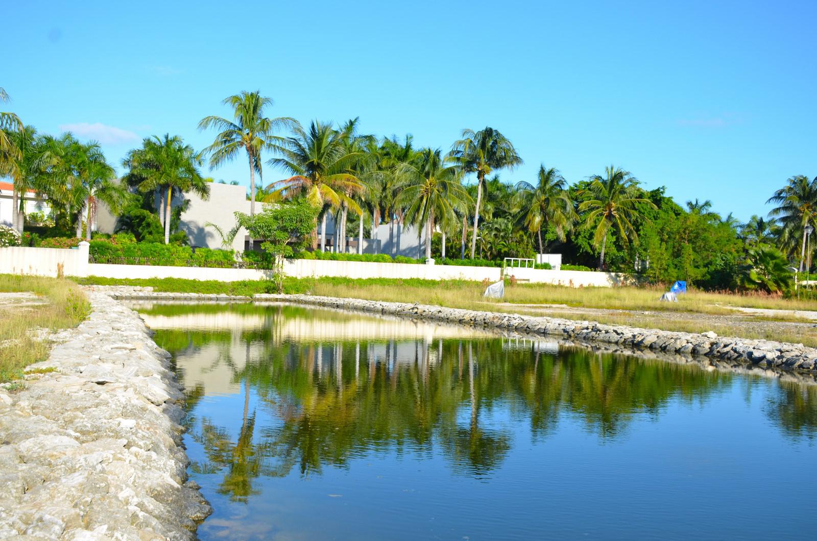 Lote en venta · Benito Juárez, Quintana Roo