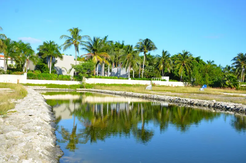 Lote en venta · Benito Juárez, Quintana Roo