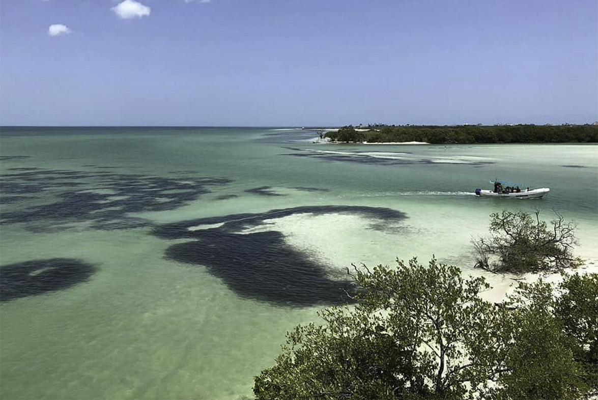 Lote en venta · Isla de Holbox, Lázaro Cárdenas, Quintana Roo