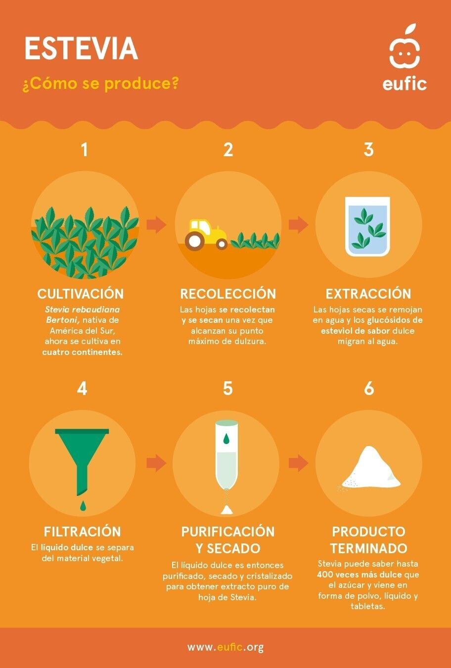Foto 41