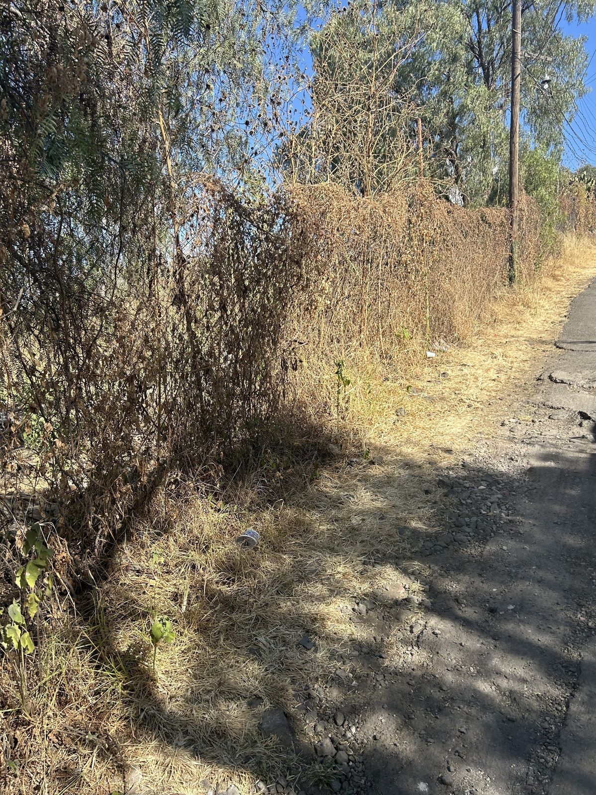 Casa en venta · San Gregorio Atlapulco, Xochimilco, Ciudad de México