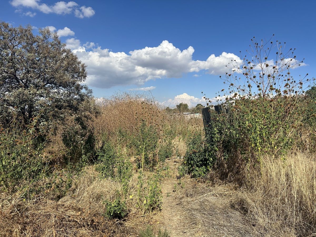 Casa en venta · San Gregorio Atlapulco, Xochimilco, Ciudad de México