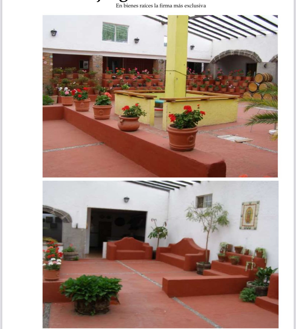 Foto 6