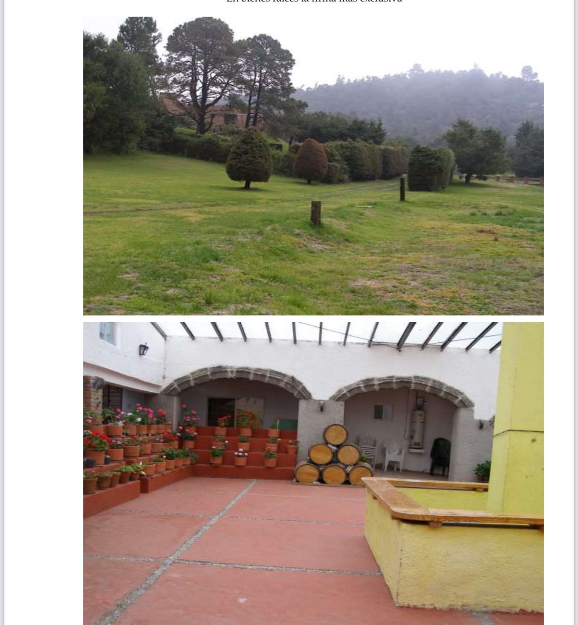 Foto 11