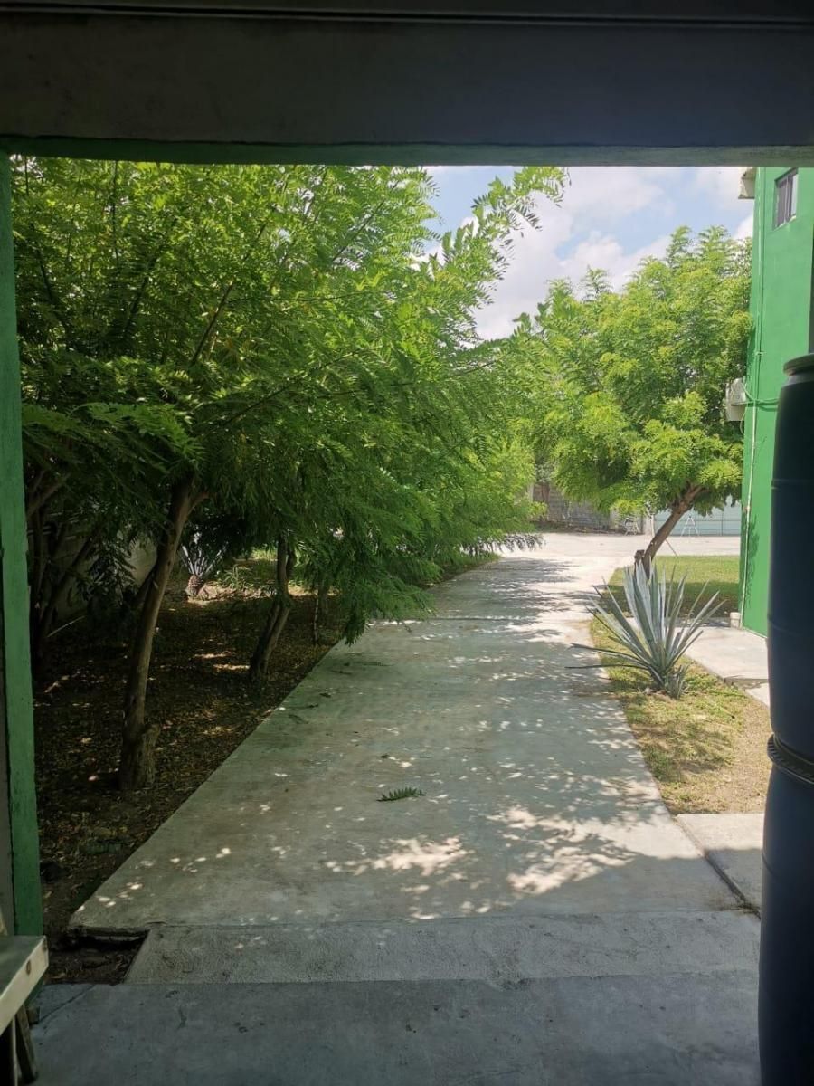 Foto 15