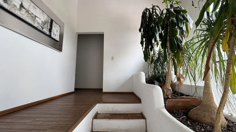 Foto 19