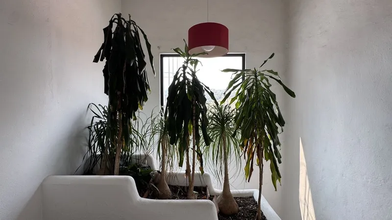 Foto 20