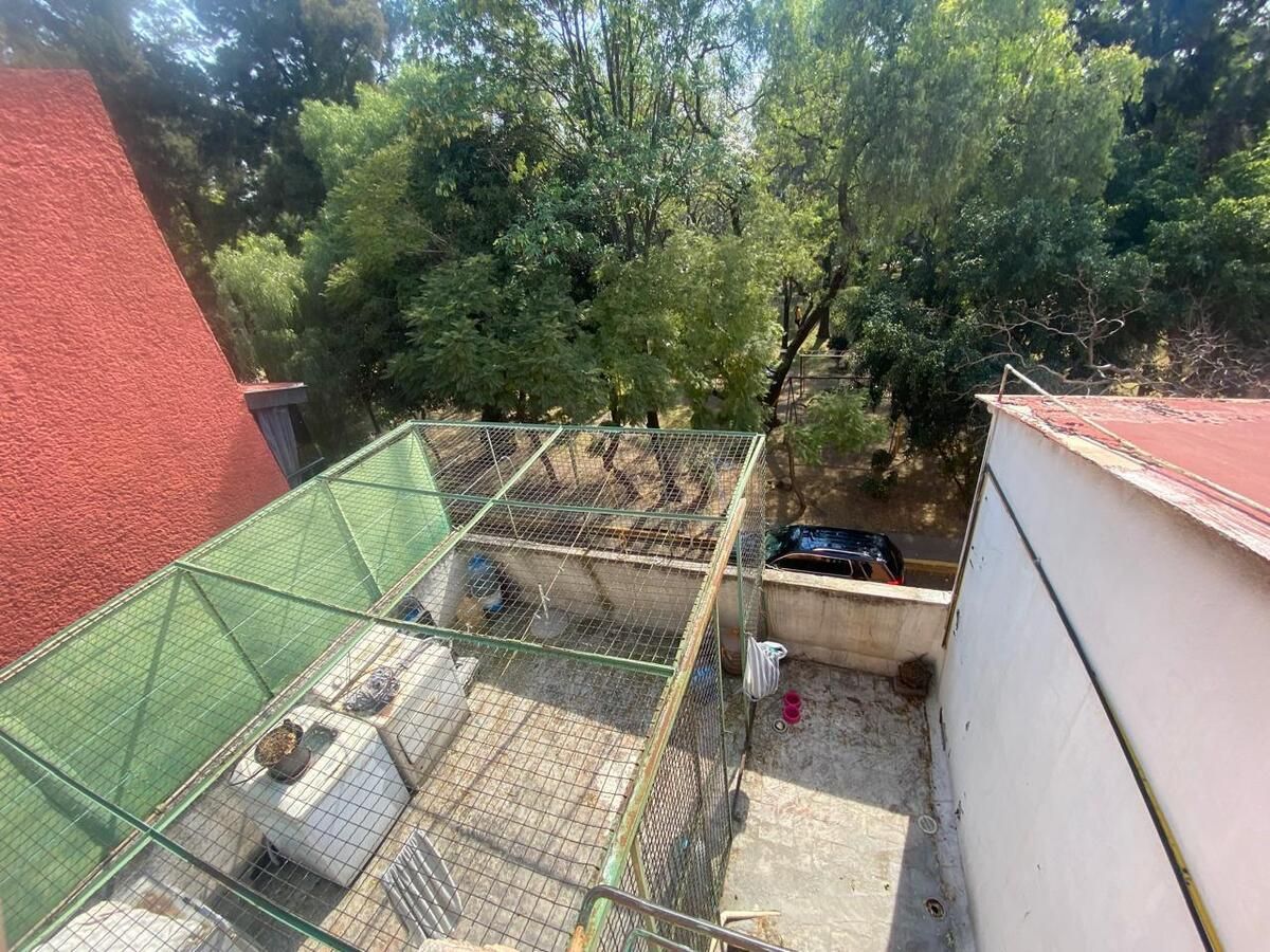 Foto 14