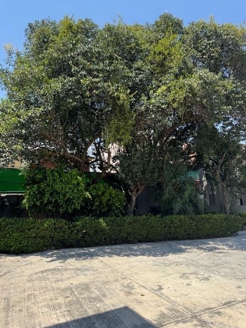 Lote en venta · Santa Fe, Álvaro Obregón, Ciudad de México