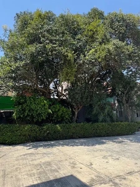 Lote en venta · Santa Fe, Álvaro Obregón, Ciudad de México Lote en venta · Santa Fe, Álvaro Obregón, Ciudad de México